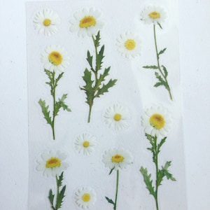 Adesivos de flores margaridas, adesivos de planejador de flores selvagens, adesivos florais brancos, adesivos decorativos botânicos, scrapbook/adesivos de artesanato