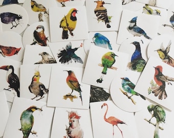 Watercolor Bird Stickers: Birdies Planner, Journal, Scrapbook Stickers (40pcs)