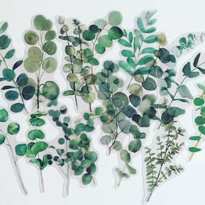 Adesivi con rami di eucalipto, adesivi per planner Greenery, adesivi con foglie, adesivi con fogliame, adesivi botanici, adesivi per album e lavori manuali