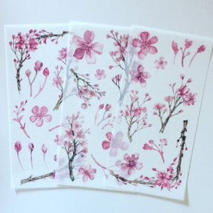 Stickerset aquarel Sakura, roze kersenbloesem plannerstickers, stickers romantisch/shabby chic bloemen, stickers Japanse bloem