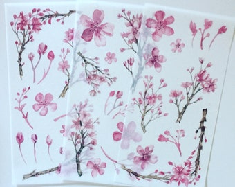 Watercolor Sakura Sticker Set: Pink Cherry Blossom Planner Stickers