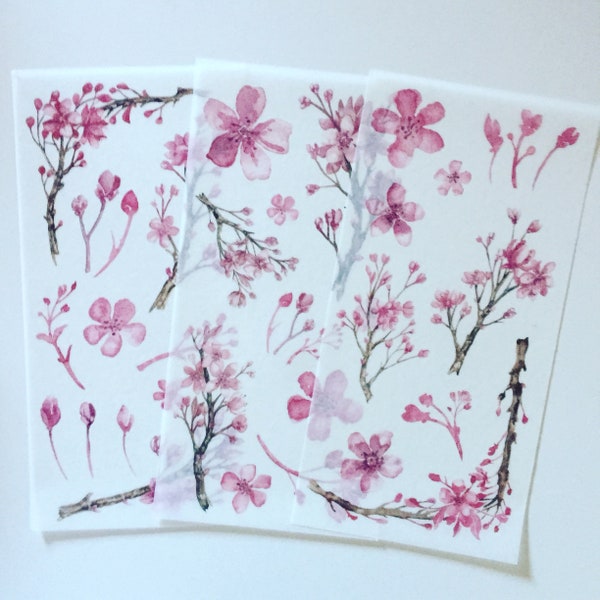 Watercolour Sakura Sticker Set, Pink Cherry Blossom Planner Stickers, Romantic/Shabby Chic Floral Stickers, Japanese Flower Stickers