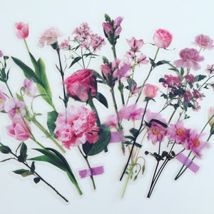 Conjunto de pegatinas de flores rosas, Pegatinas de rosas, Pegatinas de ramo de flores silvestres, Pegatinas de pensamiento, Pegatinas florales hippie boho, Pegatinas de flores de pradera