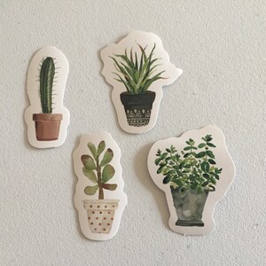 Cactus Stickers, Succulents Stickers, Cacti Plants Stickers, Botanical Decorative Stickers, Scrapbook Stickers, Planner Stickers image 3