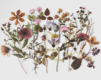 Dried Wildflower Stickers: Boho Floral Decals, Set of 20