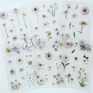 Juego de pegatinas de flores de margaritas, pegatinas de planificador de flores silvestres prensadas, pegatinas de flores blancas, pegatinas botánicas secas, pegatinas para álbumes de recortes y manualidades