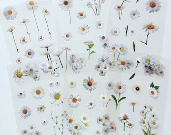 Daisy Flower Sticker Set: Pressed Wildflower Stickers, Scrapbook Stickers