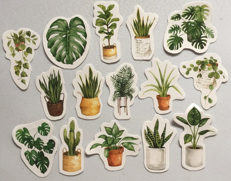 Succulents Stickers, Cactus Stickers, Potted Plants Stickers, Botanical Stickers, Cacti Scrapbook Stickers, Greenery Planner Stickers image 2