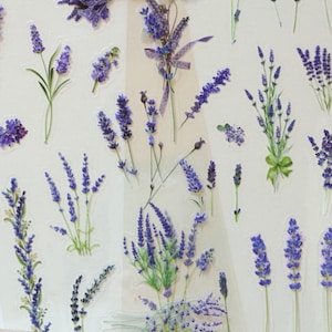 Pegatinas de plantas de lavanda, pegatinas de planificador con flores moradas, pegatinas florales provenzales, pegatinas decorativas botánicas, pegatinas para álbumes de recortes o diarios
