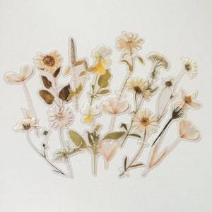 Conjunto de adesivos florais em cores suaves, adesivos de flores silvestres prensadas, adesivos de flores silvestres em tons neutros, adesivos de flores de prado hippie boho