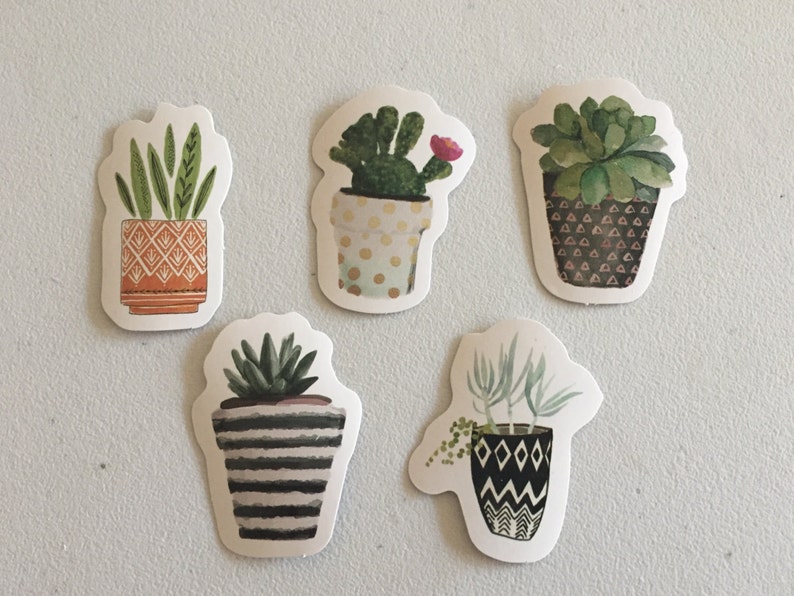 Cactus Stickers, Succulents Stickers, Cacti Plants Stickers, Botanical Decorative Stickers, Scrapbook Stickers, Planner Stickers image 2