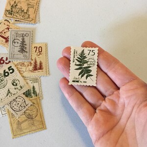 May include: A vintage-style 75 cent postage stamp featuring a green fern with the text "CAN. 3D STEARNS LTD." and "Exp. 5 No. 3054".