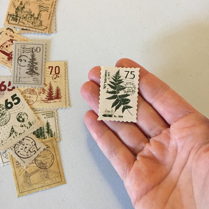 May include: A vintage-style 75 cent postage stamp featuring a green fern with the text "CAN. 3D STEARNS LTD." and "Exp. 5 No. 3054".