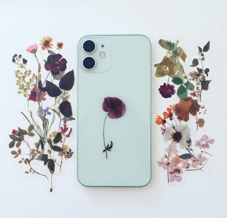 May include: A green iPhone with a single dried flower in the shape of a heart on the screen. The phone is surrounded by dried flowers in various colours and shapes.