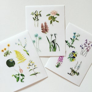 Adesivos delicados de flores/plantas, adesivos transparentes de flores silvestres, adesivos decorativos botânicos, álbum de recortes/diário de flor de prado
