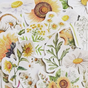 Conjunto de adesivos de flores selvagens, adesivos de margaridas, adesivos de girassol, adesivos florais hippie boho, adesivos de flores de prado, presente de amante de plantas