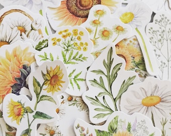Wildflower Sticker Set: Boho Daisy & Sunflower Stickers (22pc)