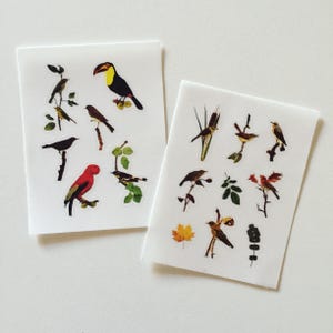 May include: Two rectangular sheets of adhesive stickers featuring various bird illustrations. The left sheet displays a toucan, a bright red bird, and several smaller songbirds on branches. The right sheet includes diverse birds, green leaves, and a single orange maple leaf.