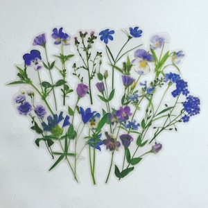 Juego de pegatinas de flores moradas, pegatinas de ramos de flores silvestres, pegatinas de pensamientos, pegatinas de flores bohemias hippies, pegatinas de flores de pradera