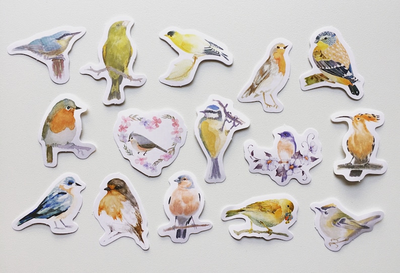 Birds Planner Stickers Bird Diary Stickers Card Etsy