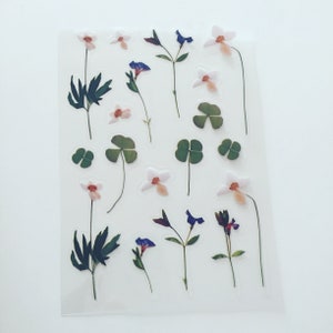 Adesivos de plantas de trevo, adesivos de planejador de folhas de trevo, adesivos de flores selvagens, adesivos decorativos botânicos, adesivos de álbum de recortes/artesanato