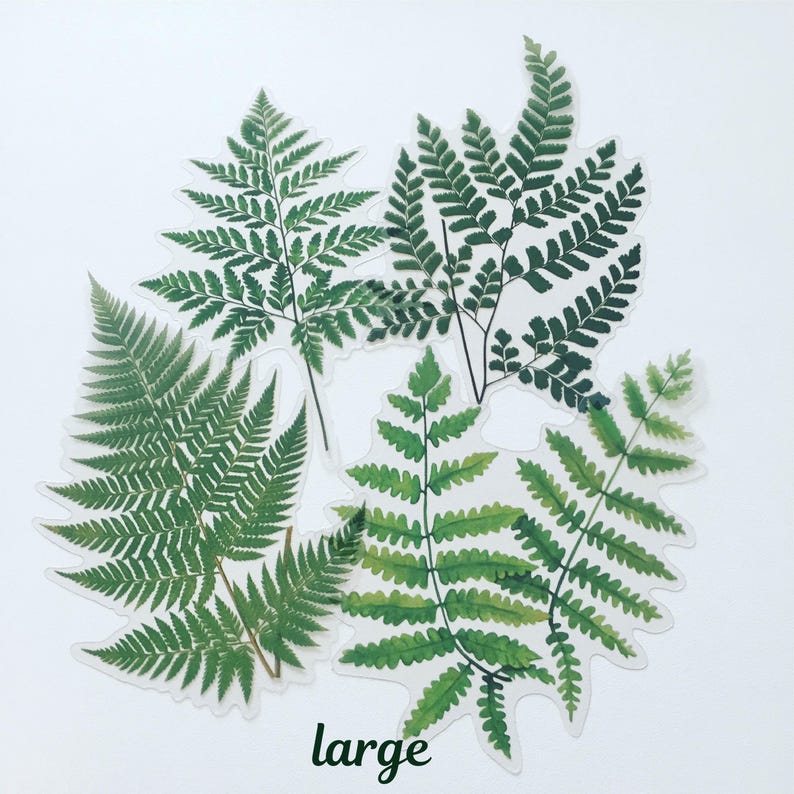 Large Fern Leaf Stickers: Botanical Planner Stickers - Etsy New Zealand