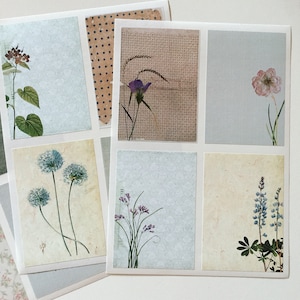 Gran conjunto de pegatinas de collage botánico vintage, pegatinas decorativas de arte floral retro, pegatinas de plantas de diario/álbum de recortes, adorno de tarjetas