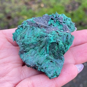 Coral Malachite! - A Grade -Harmony and Well Being