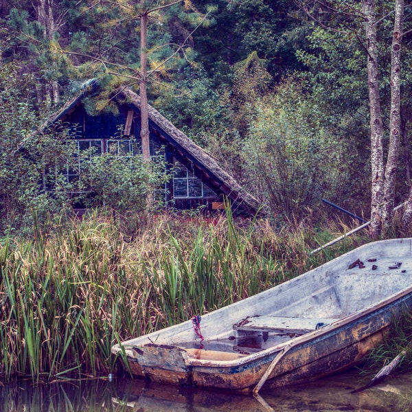 Danish Lake, Silkeborg, Forest, Nature, Boat, Outdoors Photography Shot