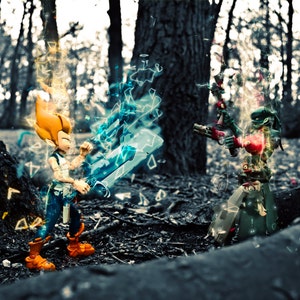 Wakfu Remington Iop Battle Print, ankama, park fight, teleportation, photography edit, toys, models, anime, comic book, rpg game, art print