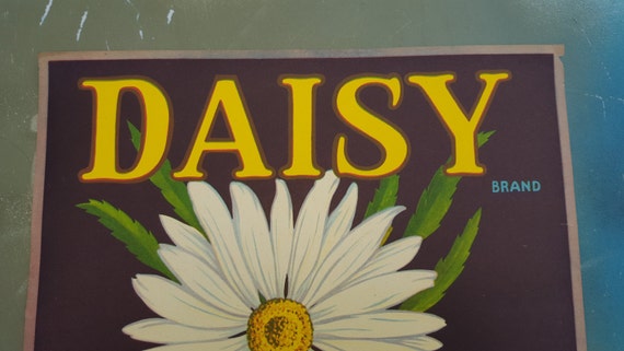 1930s DAISY COVINA CALIFORNIA ORIGINAL ORANGE CRATE LABEL FLOWER KITCHEN ART