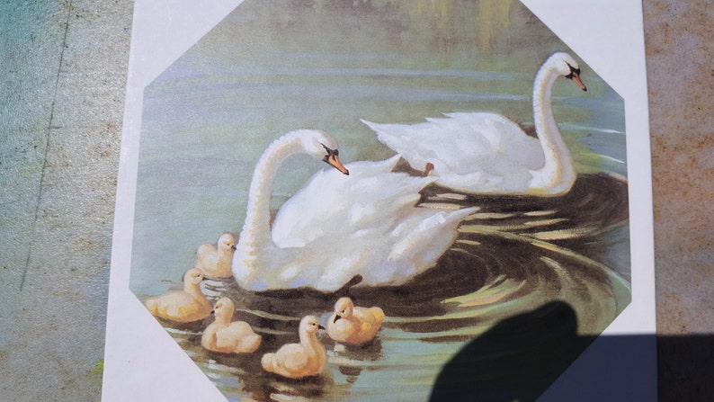 Vintage Print Vintage Art Bird Print Scrapbooking 80s Art Baby Swan Cygnets Mixed Media Vintage Swan Print 80s Print Stapco Print