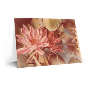 Elegante bloemenwenskaarten voor alle gelegenheden, verjaardagswensen, bedankjes, handgemaakte kaarten, bloemdessin, milieuvriendelijk