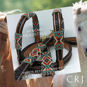 May include: A close-up of a black and brown leather Apache headstall with turquoise, orange, and brown peyote bead weaving. The text "APACHE HEADSTALL" and "CACTUSROSE JEWELRY" is visible.