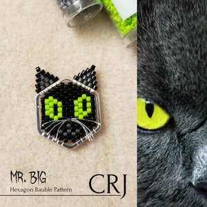 May include: Black and green beaded cat face ornament with the text "MR. BIG Hexagon Bauble Pattern" and "CRJ" below the ornament.