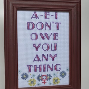 May include: A framed cross-stitch with the text "A-E-I DON'T OWE YOU ANY THING" in purple and pink thread. The frame is a dark red wood.