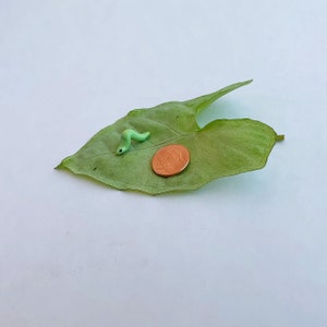 3er Set Miniatur Ton Raupe, Feengarten Accessoire, winziges Tierchen für Terrarium, Plant Buddy, Gartenkunst