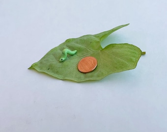 Set of 3 Miniature Clay Caterpillar, Fairy Garden Accessory, Tiny creature for terrarium, Plant Buddy, Garden Art