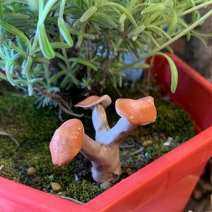 Tiny Fairy Garden Miniature Mushroom Clusters, Realistic Miniature Clay Mushrooms, Doll House Garden Accessory, Terrarium Figurine