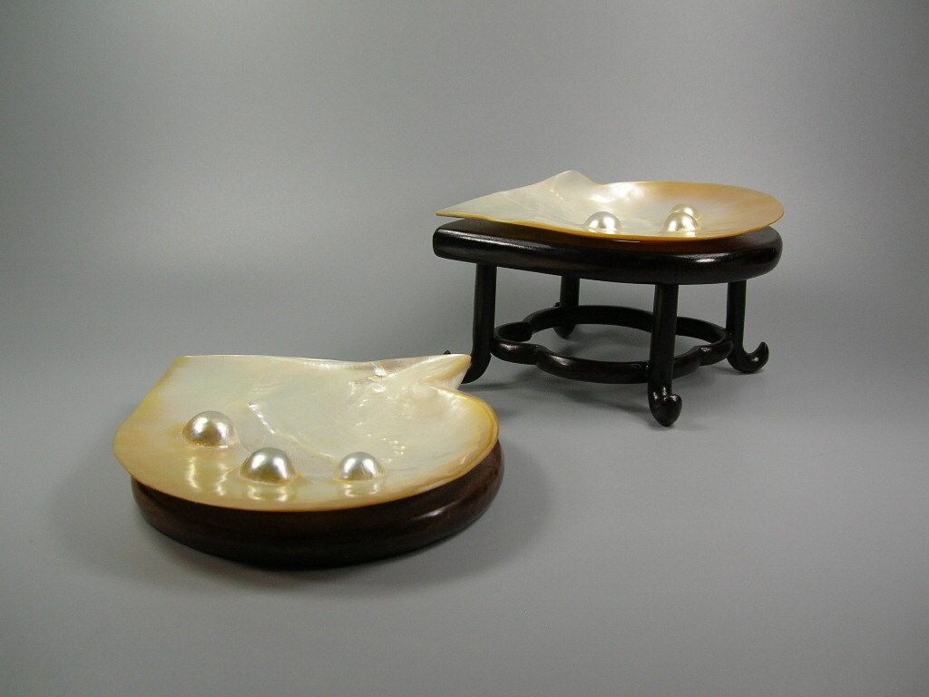 堅木スタンドに置かれた中国産天然真珠貝（トレイ）2個 - Etsy 日本