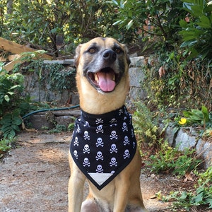 Halloween Dog Bandana: Skull & Crossbones (2), Reflective Patch