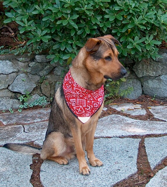 Reflective 2024 dog bandana