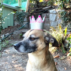 Chapeau d&#39;anniversaire pour chien, cadeau d&#39;anniversaire pour chiot, chapeau de fête pour chien, cadeau d&#39;anniversaire pour chien avec embellissements - argent/rose