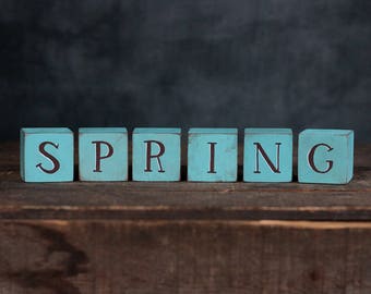 Spring Wooden Letter Blocks Set - Hand Painted Shelf Sitter in Robin's Egg Blue