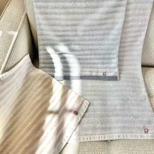 2 Pack, Imabari 100% Cotton Gradient Color Guest Towels, Hand Towels