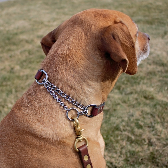 Adjustable Webbing Dog Collars – Whiskey Leatherworks