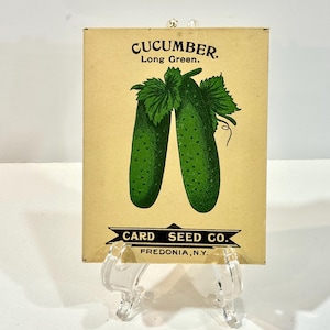 May include: Vintage seed packet for Long Green cucumbers. The packet features an illustration of two green cucumbers with leaves. The text "CUCUMBER. Long Green." is at the top, with "CARD SEED CO. FREDONIA, N.Y." at the bottom.
