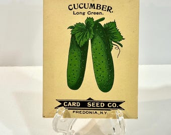 Antique Cucumber Seed Packet: 1910s Card Seed Co. Ephemera