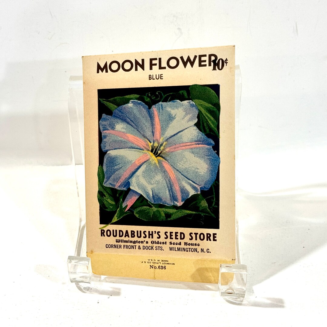 Vintage Seed Packet, MOON FLOWER, Blue Color, Lithograph Print, Empty ...