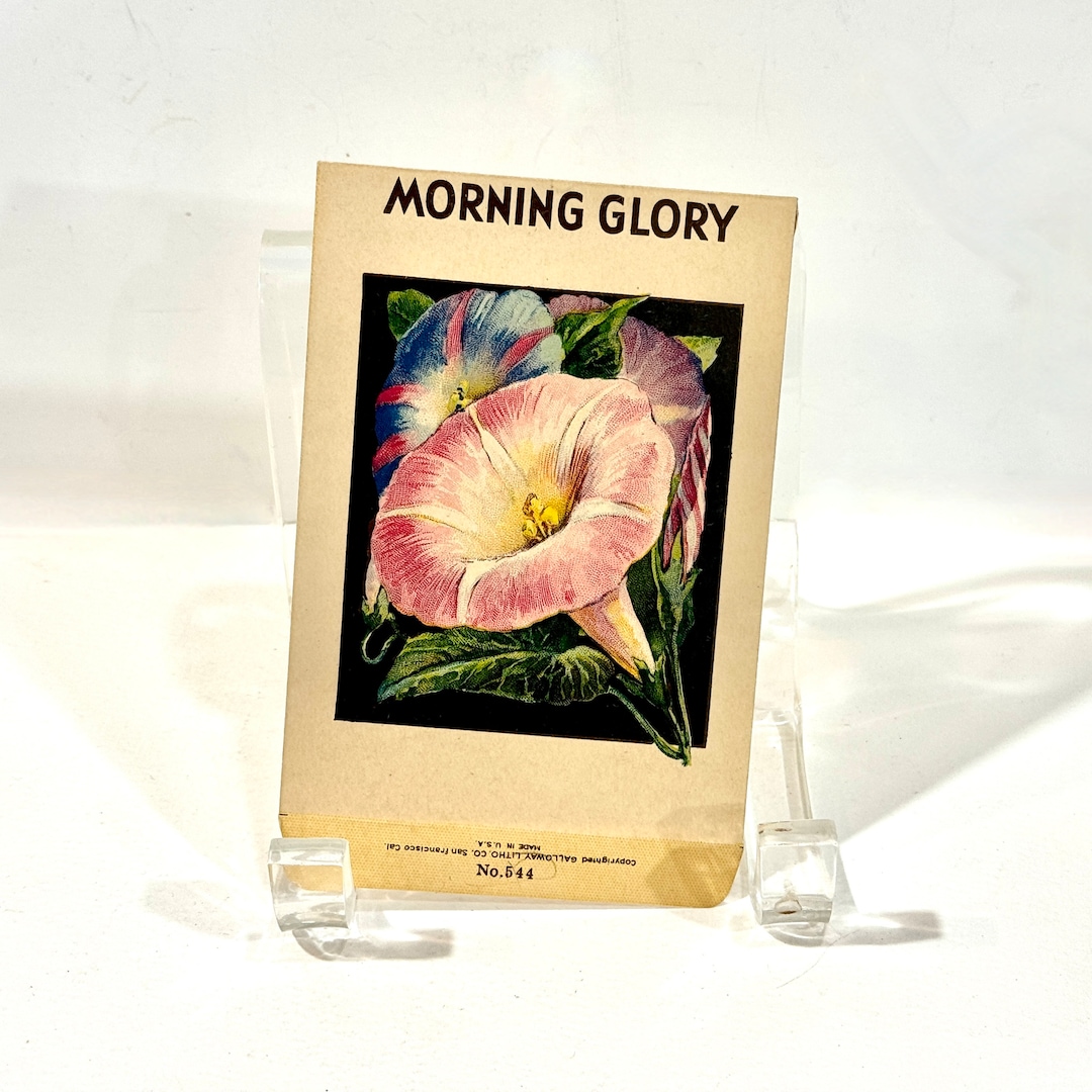 Vintage Seed Packet, MORNING GLORY Mixed, Lithograph Print, Empty NOS ...